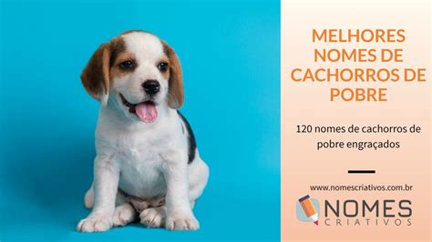 nome de cachorro de pobre-4